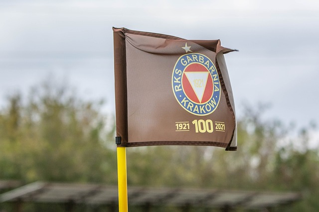 立了自己的 立了自己的