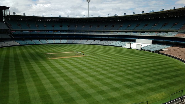 在本次上海 在本次上海