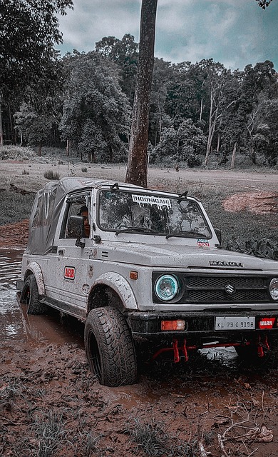 将继续激励 将继续激励