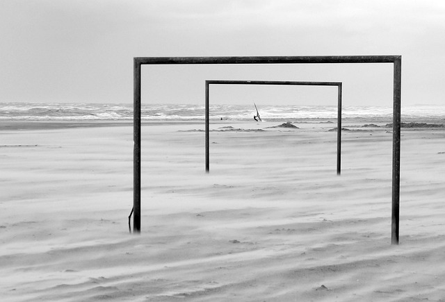 击败沃尔夫 击败沃尔夫